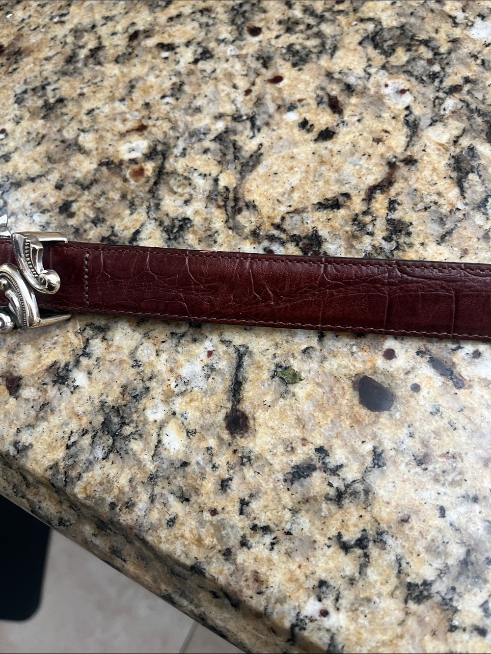 Brighton Women's Dark Brown Croc-Embossed Leather Belt with Ornate Silver Buckle - Picture 3 of 5